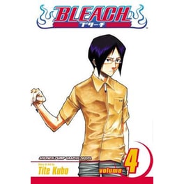 Bleach, Vol. 4
