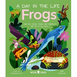 Frogs (A Day in the Life)
