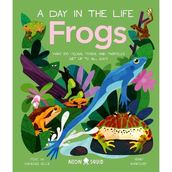 Frogs (A Day in the Life) image 0