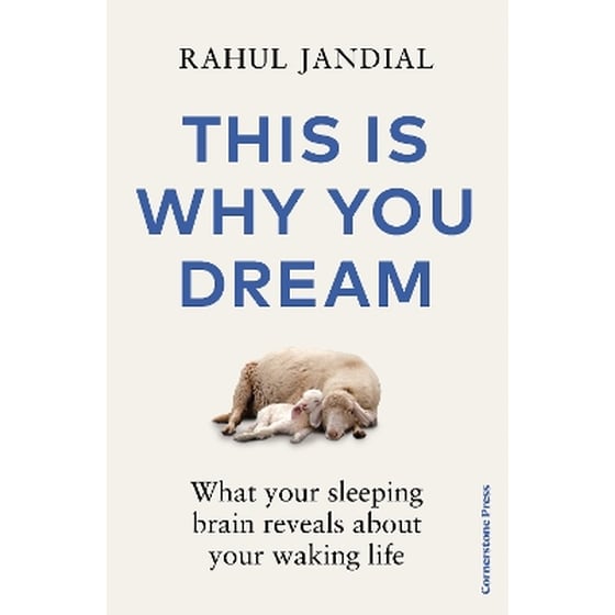 This Is Why You Dream image 0