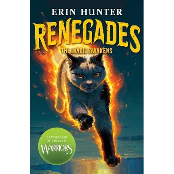 Renegades: The Magic Awakens image 0