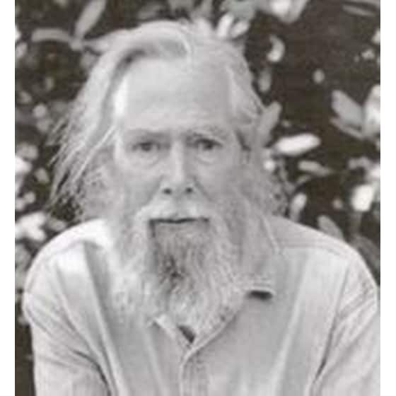 Φέρμιν image 1