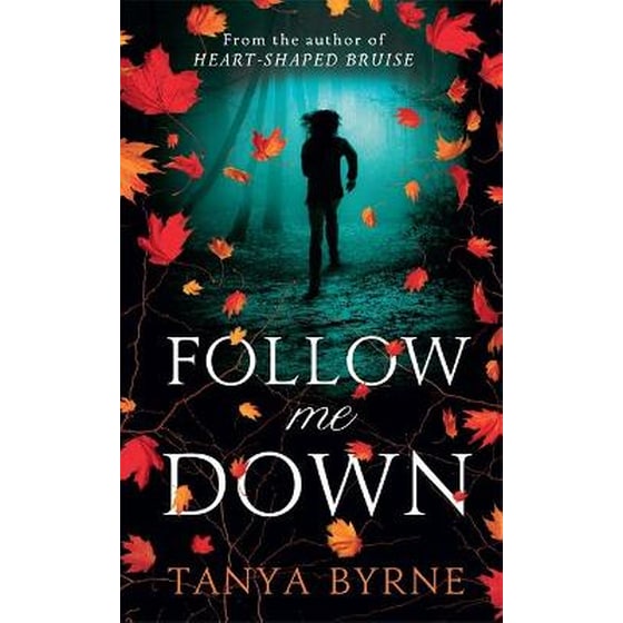 Follow Me Down image 0