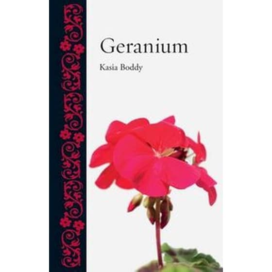 Geranium image 0