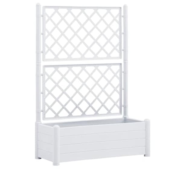 Vidaxl Ζαρντινιέρα Κήπου Με Καφασωτό Λευκή 100 X 43 X 142 Εκ. Από Pp image 2