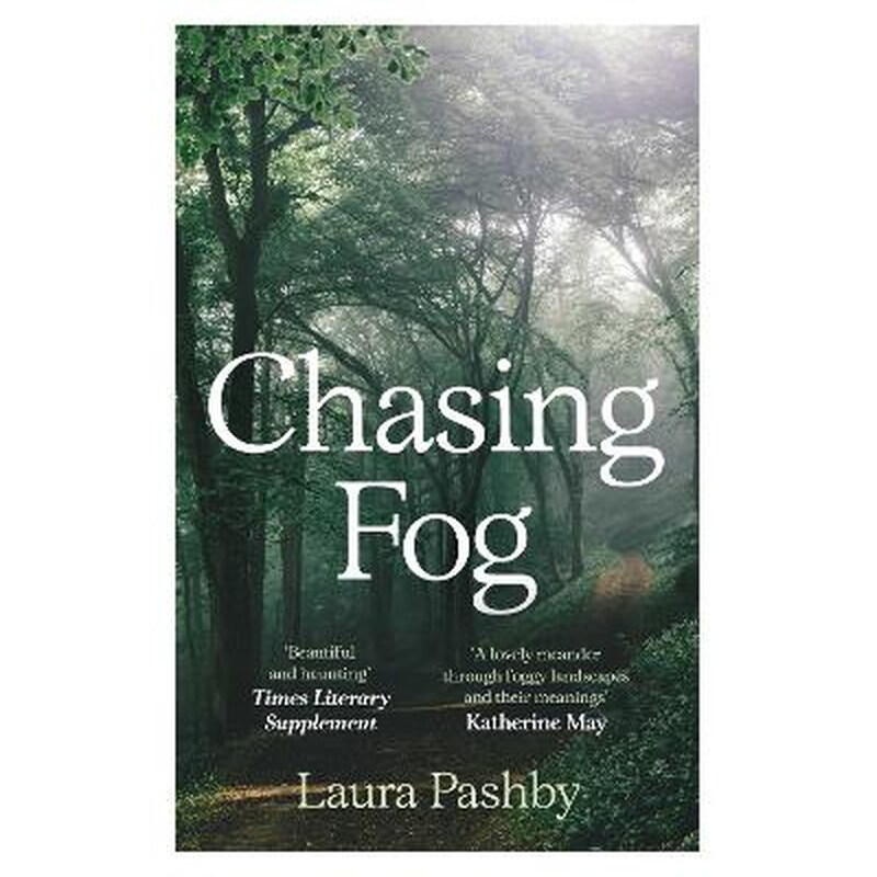 Chasing Fog
