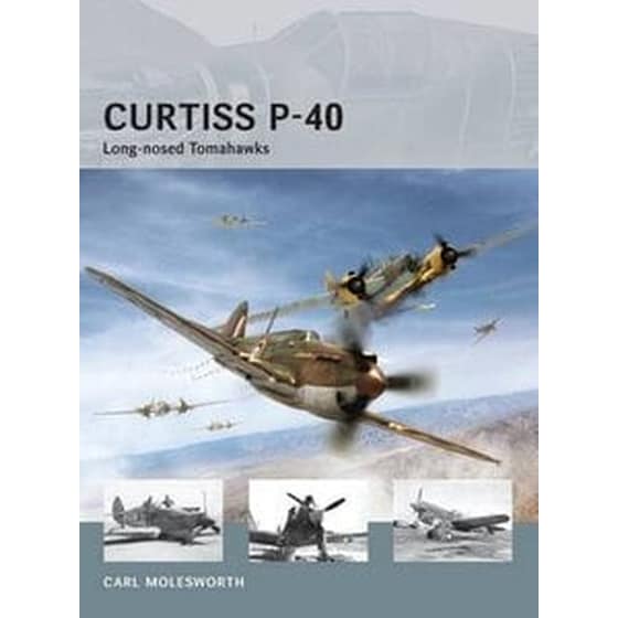 Curtiss P-40 image 0