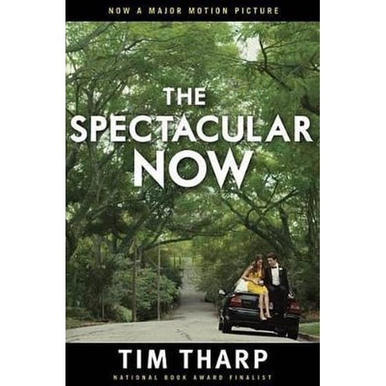 The Spectacular Now image 0