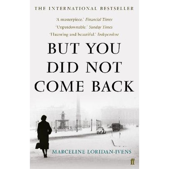 But You Did Not Come Back image 0