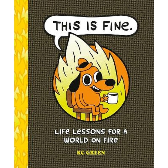 This is Fine: Life Lessons for a World on Fire image 0