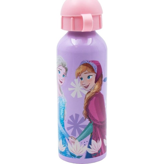 Σετ Φαγητού Διακάκης Φαγητοδοχείο 800ml με Παγούρι 500ml Frozen 2 image 3