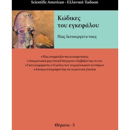 Κώδικες του εγκεφάλου