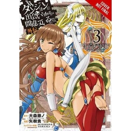 Is It Wrong to Try to Pick Up Girls in a Dungeon? Sword Oratoria, Vol. 3