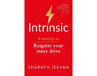 Intrinsic image 0