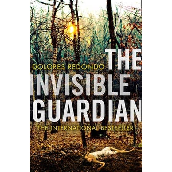 The Invisible Guardian image 0