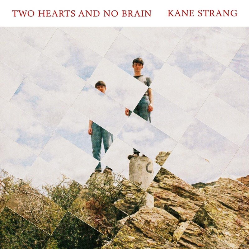 Two Hearts And No Brain