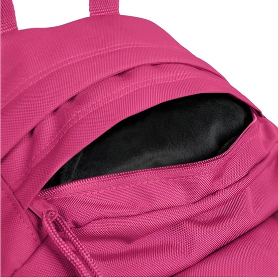 Τσάντα Πλάτης Eastpak Padded Lush Granate Πολλών Θηκών Ροζ image 2