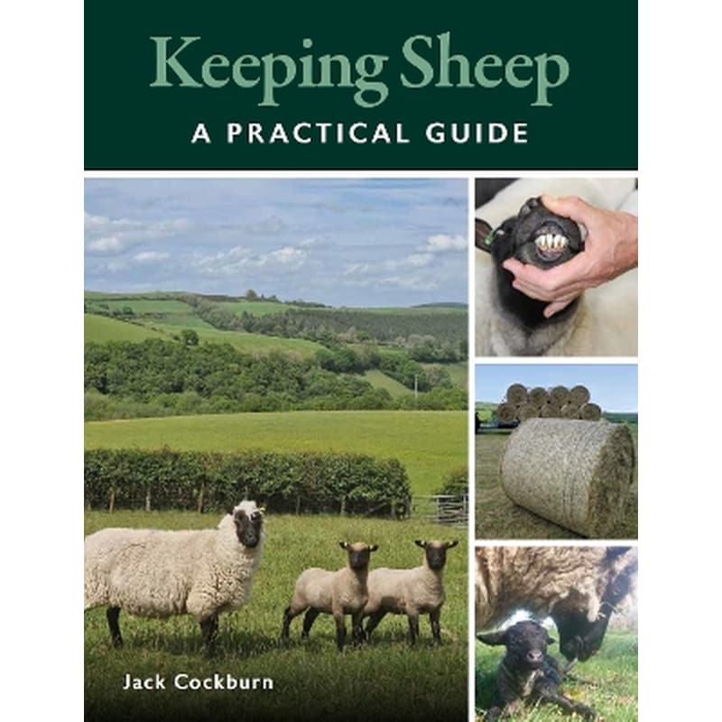 Keeping Sheep