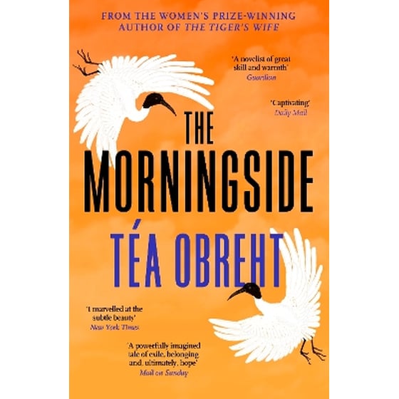 The Morningside image 0