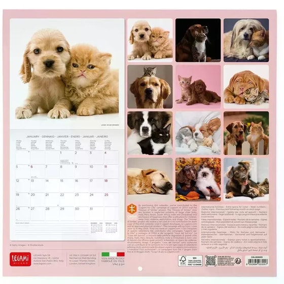 Ημερολόγιο Τοίχου Legami 2026 Best Friends 30x29cm image 2