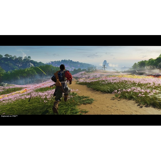 Ghost of Tsushima Director's Cut - PS5 image 8