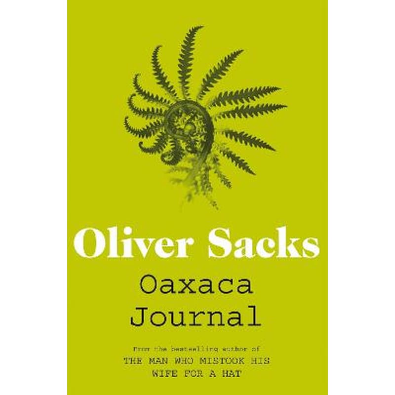 Oaxaca Journal