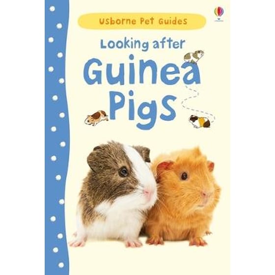 Looking after Guinea Pigs image 0