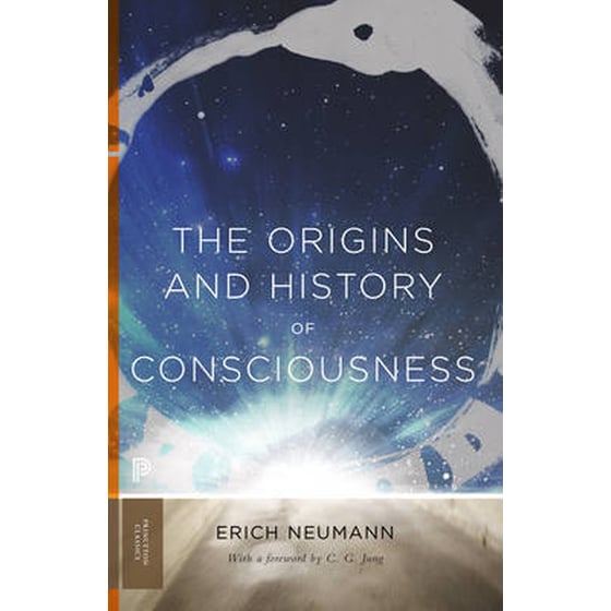 Origins and History of Consciousness image 0
