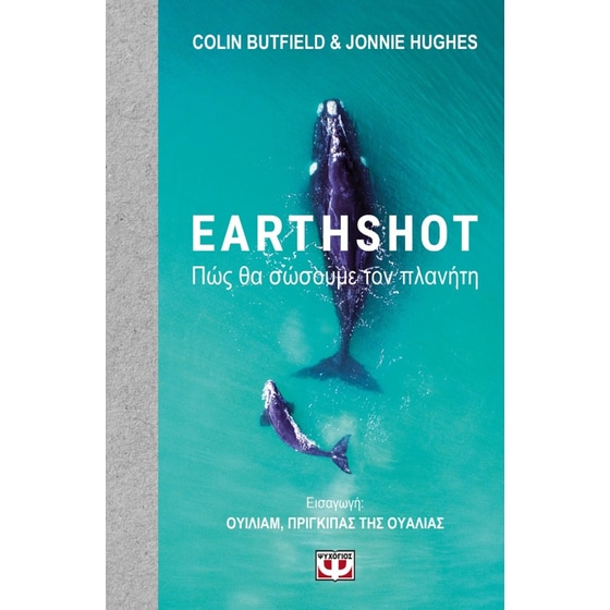 Earthshot image 0
