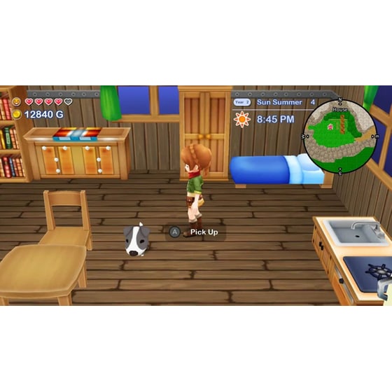 Harvest Moon: The Lost Valley and Skytree Village Collector's Edition - Nintendo Switch image 2