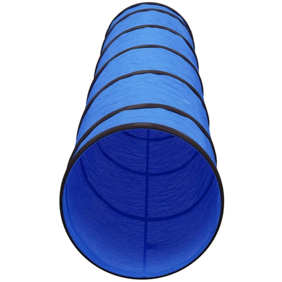 Vidaxl Τούνελ Σκύλου Μπλε  40x200 Εκ image 2
