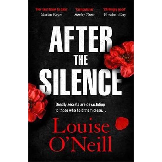 After the Silence : The An Post Irish Crime Novel of the Year image 0