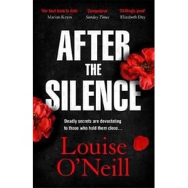 After the Silence : The An Post Irish Crime Novel of the Year