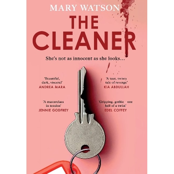 The Cleaner image 0