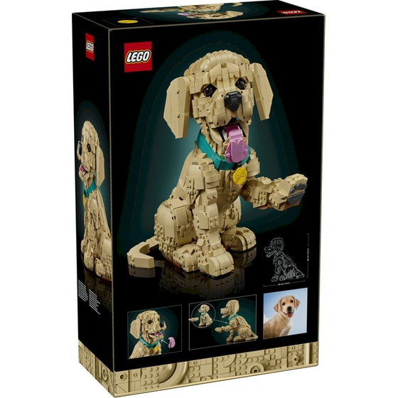 LEGO® Icons Golden Retriever Puppy (11384) image 3