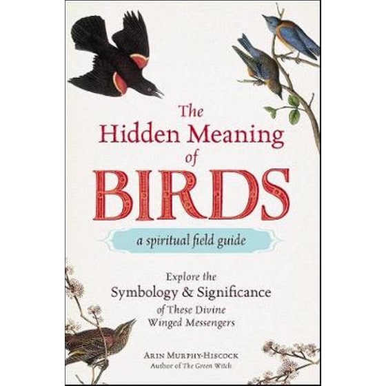 Hidden Meaning of Birds--A Spiritual Field Guide image 0
