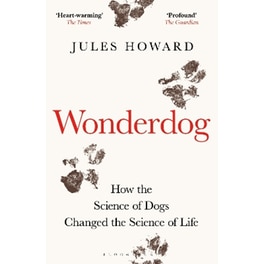 Wonderdog
