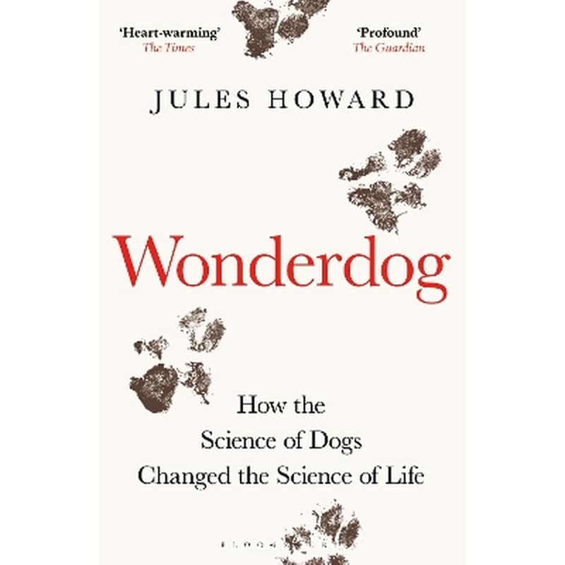 Wonderdog