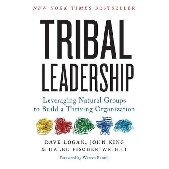 Tribal Leadership image 0