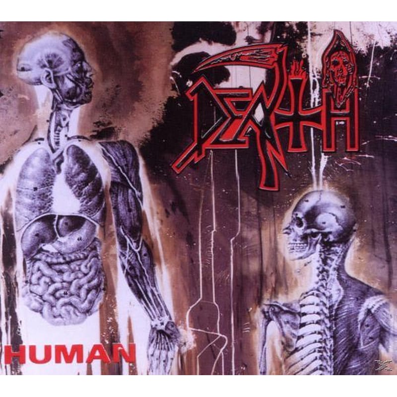 Human
