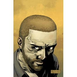 Walking Dead Volume 24: Life and Death