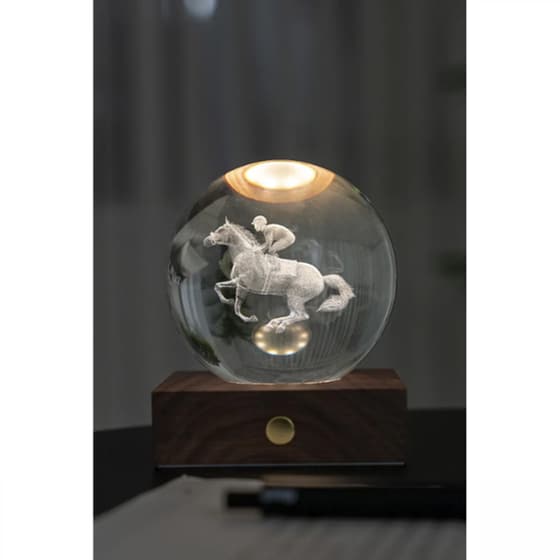 Διακοσμητικό&nbsp;Gingko Crystal&nbsp;Light&nbsp;3D&nbsp;Horse&nbsp;Race image 2