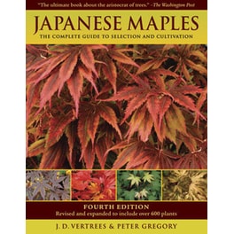 Japanese Maples