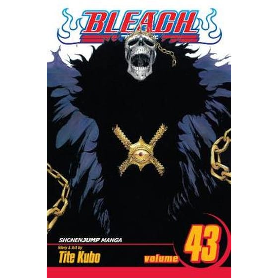 Bleach, Vol. 43 image 0
