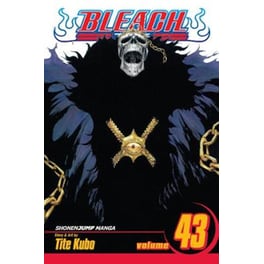 Bleach, Vol. 43