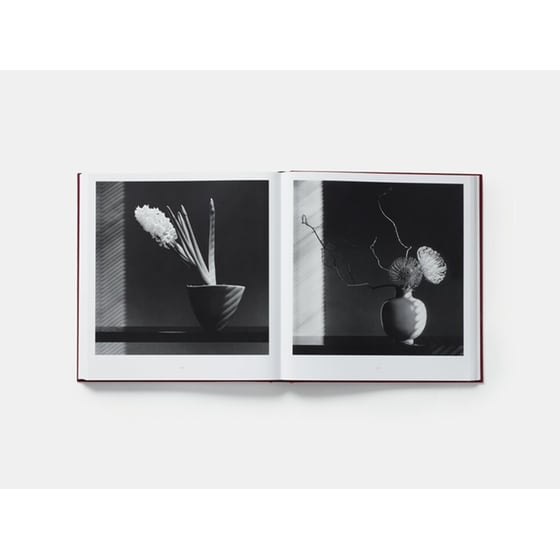 Mapplethorpe Flora image 3