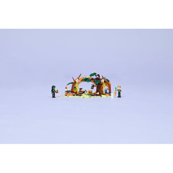 LEGO® Wicked Elphaba's Retreat (75687) image 6