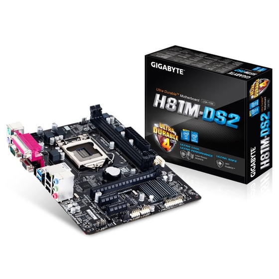 Μητρική Gigabyte H81M-DS2 mATX - 1150 image 0
