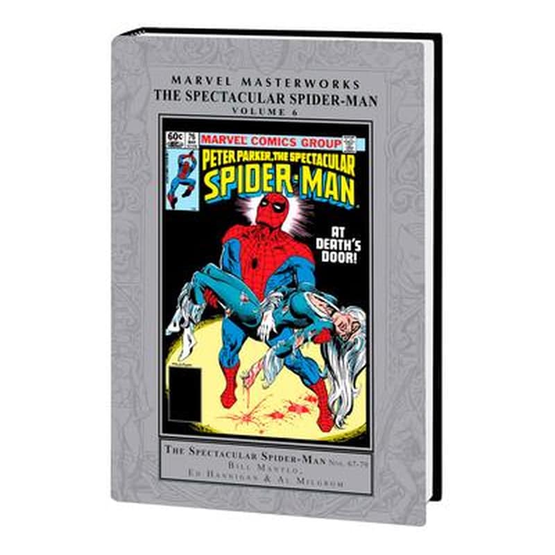 MARVEL MASTERWORKS: THE SPECTACULAR SPIDER-MAN VOL. 6