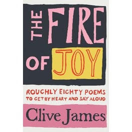 Fire of Joy